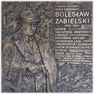 tablica poświęcona prof. Bolesławowi Zabielskiemu; hol na 1. piętrze w Kolegium Cieszkowskich 